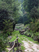 Stresa to Mottarone Cable Car - Alpine Gardens